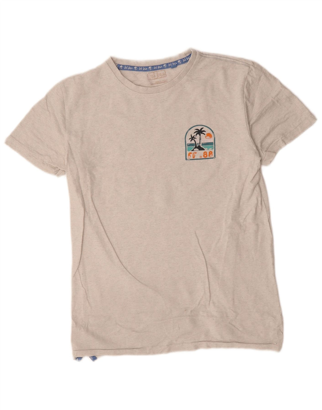 Camiseta masculina Fat Face com estampa gráfica pequena cinza