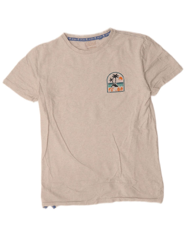 Camiseta masculina Fat Face com estampa gráfica pequena cinza