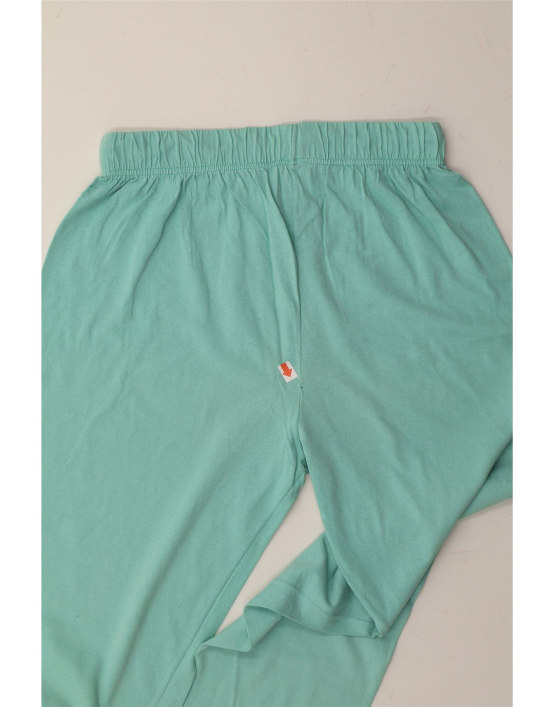 CHAMPION Womens Tracksuit Trousers UK 18 XL  Turquoise Cotton Vintage Champion and Second-Hand Champion from Messina Hembry 