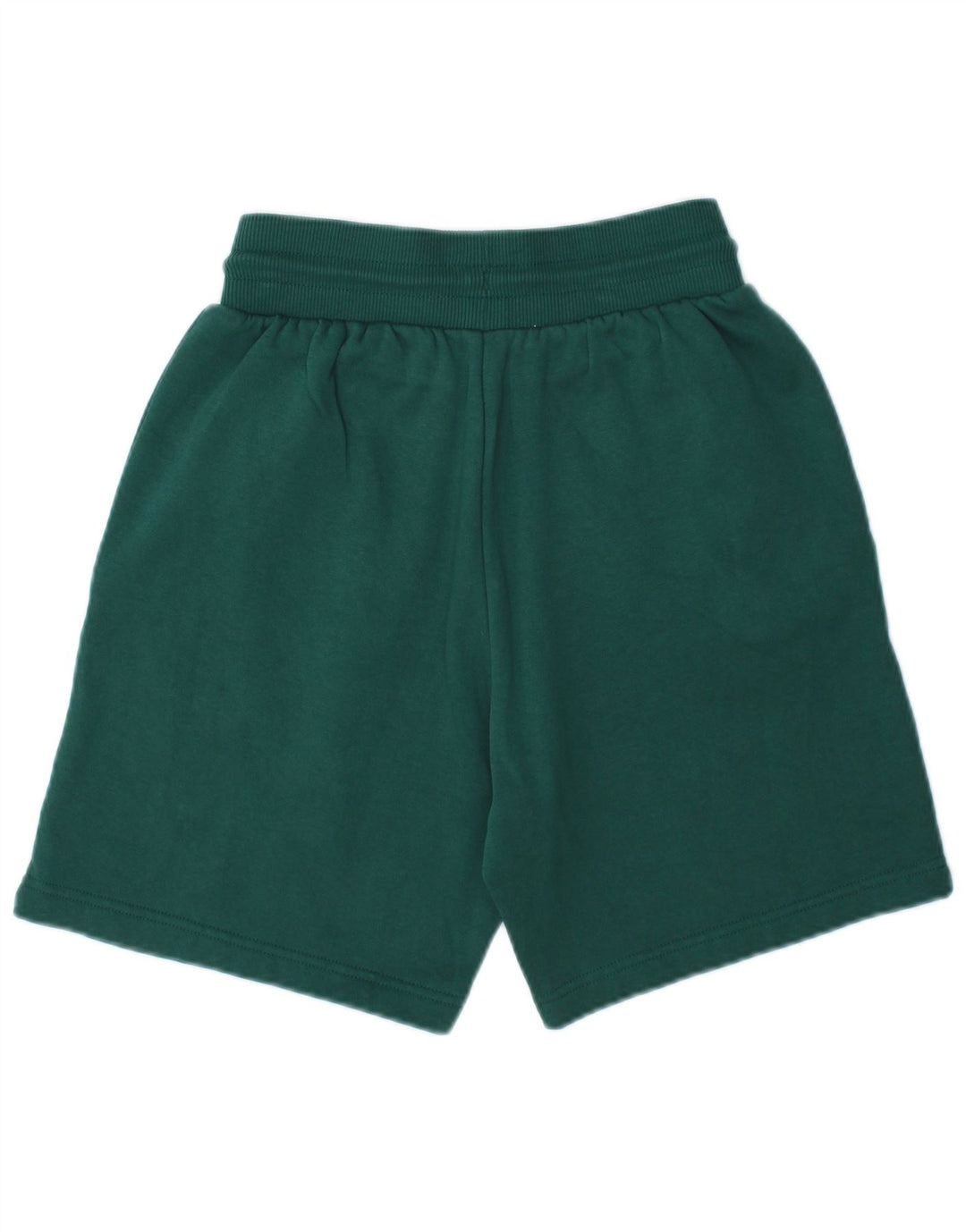 THE NORTH FACE Mens Sport Shorts XS Algodão Verde