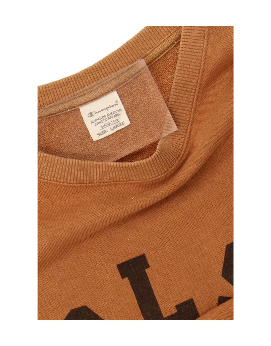 CHAMPION Womens Graphic Sweatshirt Jumper UK 14 Large Brown Vintage Champion and Second-Hand Champion from Messina Hembry 