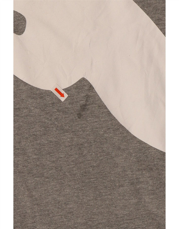 Camiseta gráfica masculina PUMA Top 2XL cinza