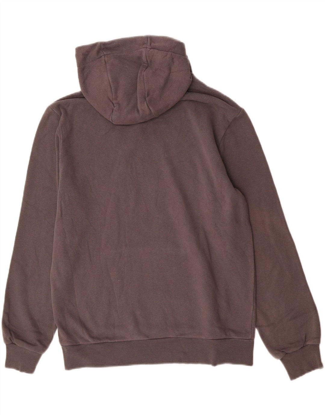 Suéter masculino com capuz gráfico Refrigiwear algodão cinza médio