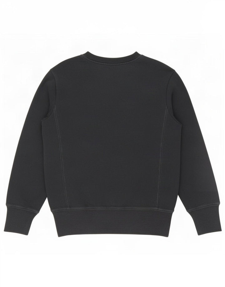 Champion moletom masculino jumper médio azul marinho algodão