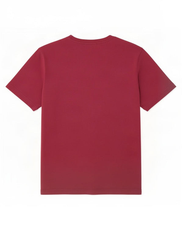 Camiseta masculina estampada Champion grande Borgonha
