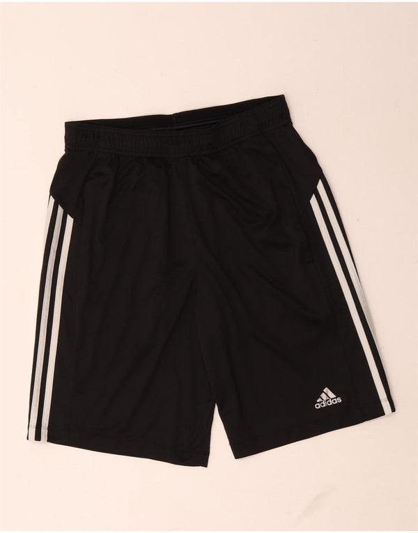 Adidas Masculino Climalite Sport Shorts Médio Preto Poliéster