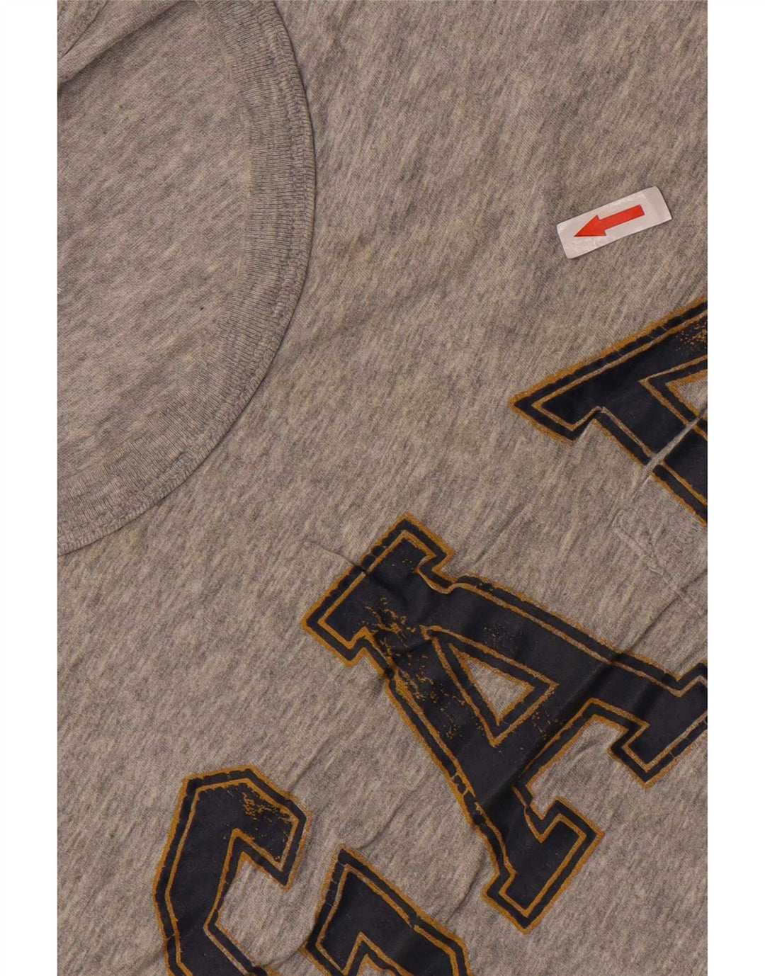 Camiseta masculina gráfica Gap grande cinza