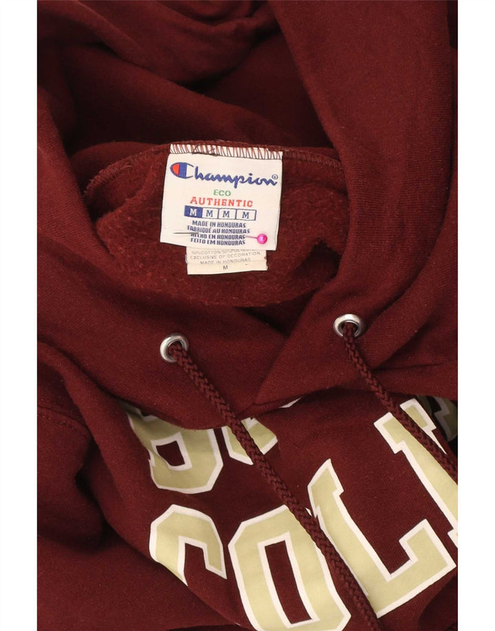 Jumper masculino com capuz e ajuste regular gráfico Champion médio marrom universitário