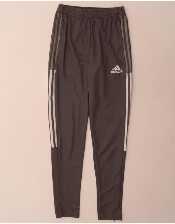 Calça Adidas Aeroready Masculina XS Poliéster Cinza