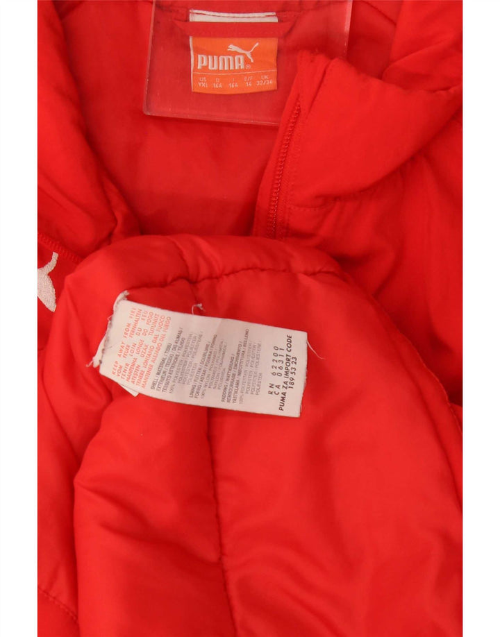 Jaqueta Puma Menino Acolchoada 13-14 Anos Vermelho Colorblock Poliéster