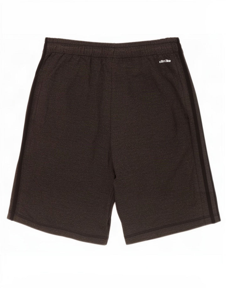 Adidas Masculino Climalite Sport Shorts Pequeno Poliéster Cinza