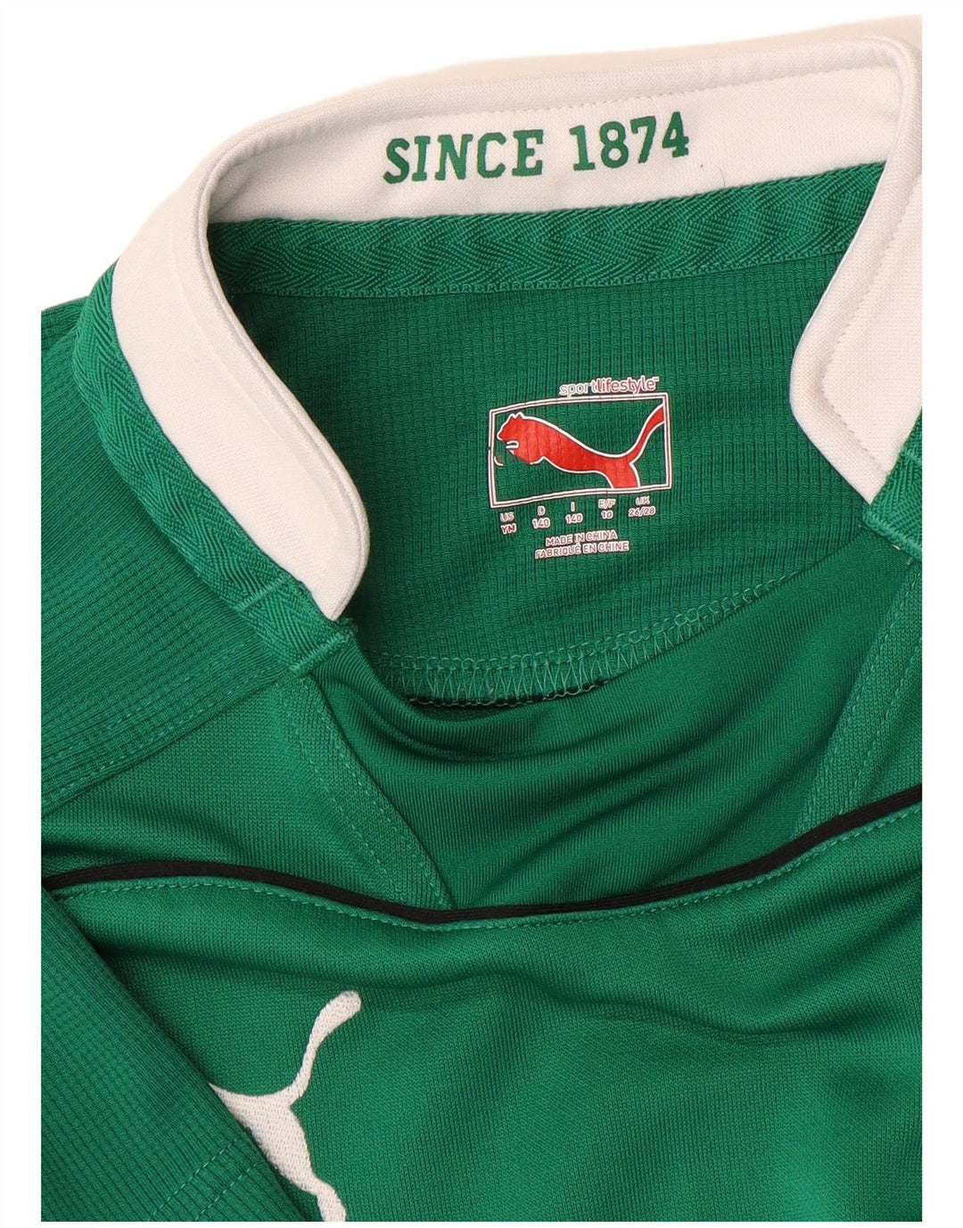 Camiseta PUMA Boys IRFU Graphic Top 9-10 anos Verde Colorblock