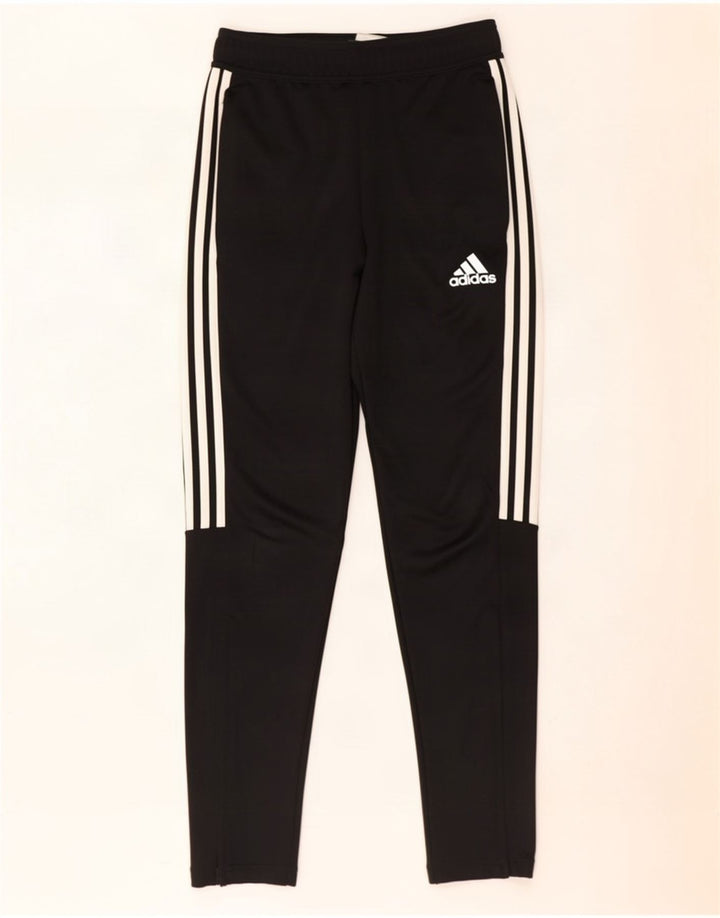 Calça Adidas Aeroready Masculina Pequena Poliéster Preto