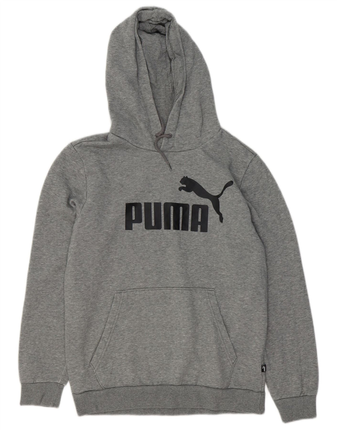 PUMA Mens Graphic Hoodie Jumper Pequeno Algodão Cinza