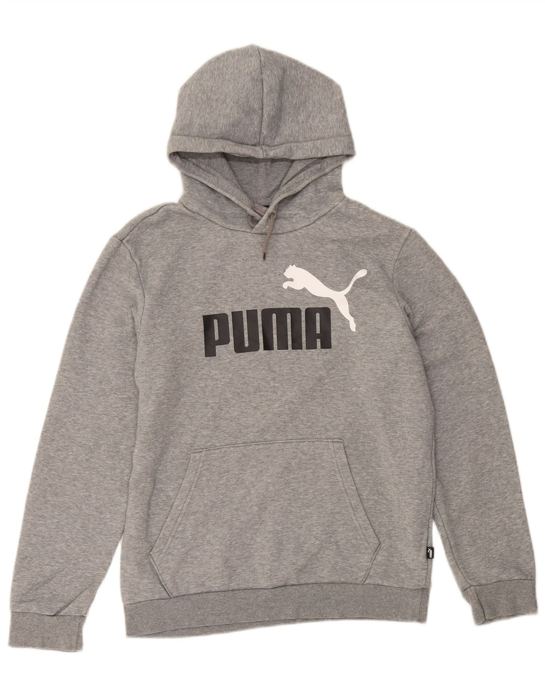 Puma masculino gráfico moletom com capuz pequeno algodão cinza
