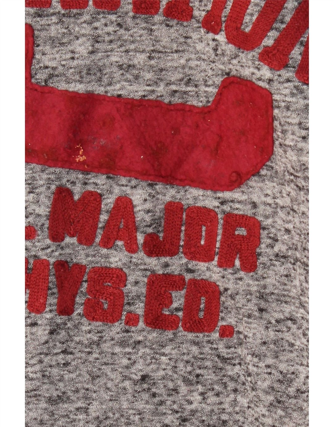 CHAMPION Suéter gráfico masculino com capuz pequeno cinza manchado de algodão