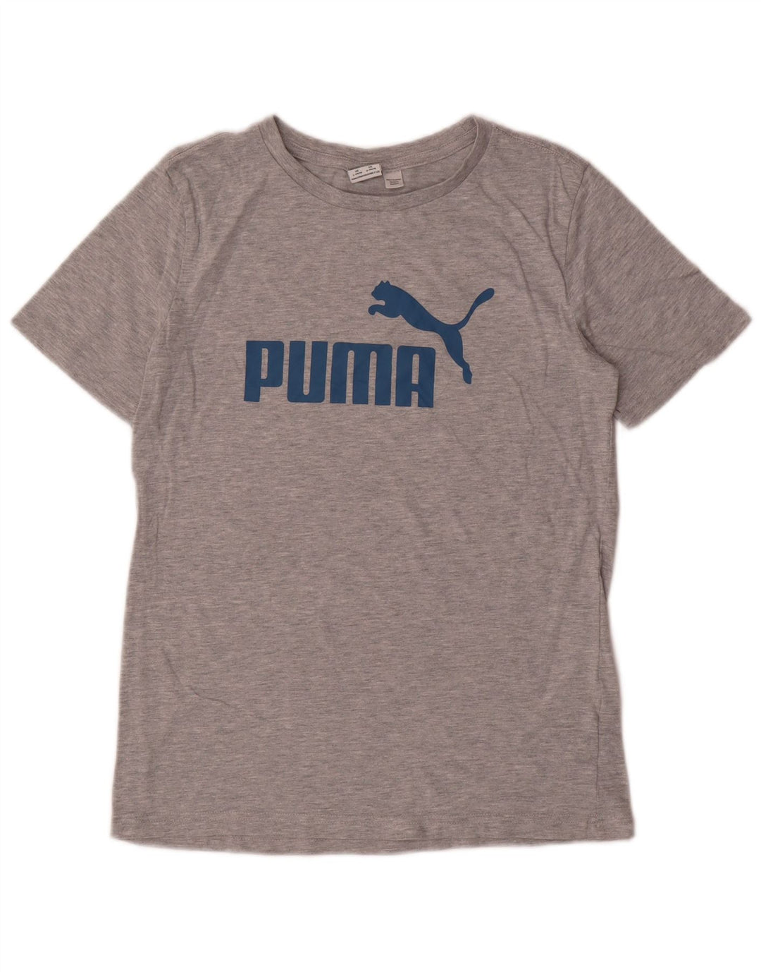 Camiseta PUMA Boys Graphic 14-15 Anos Grande Algodão Cinza