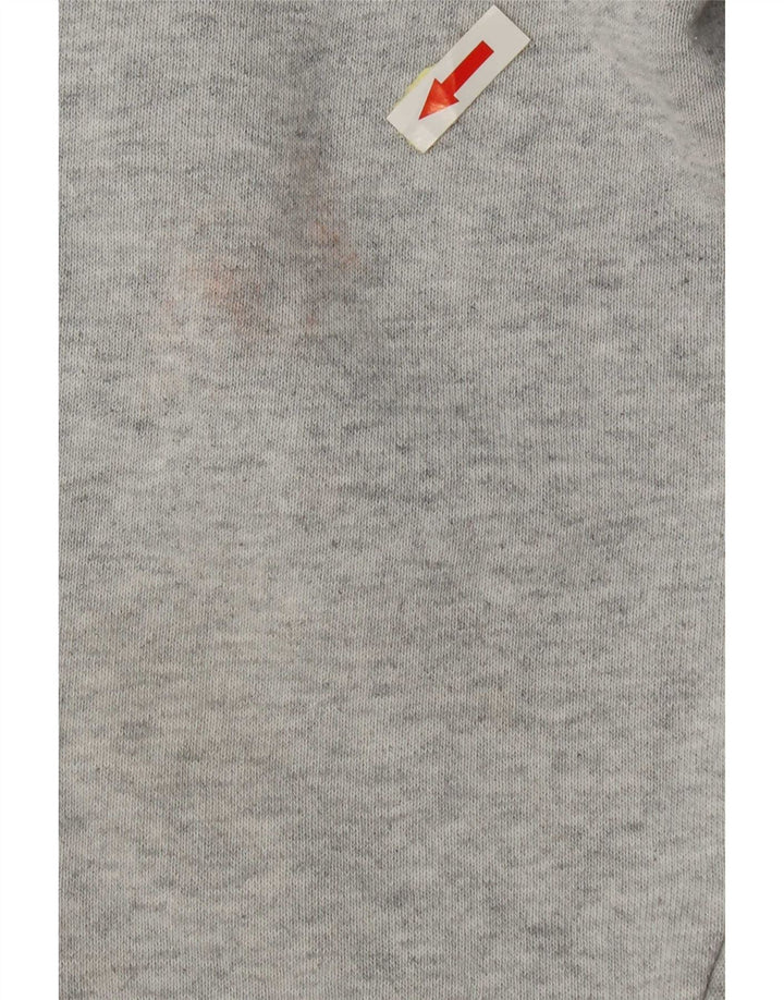 Champion moletom masculino jumper grande algodão cinza