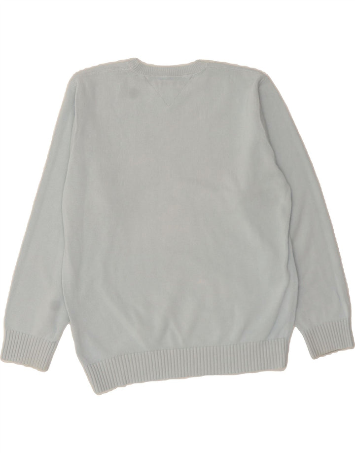 TOMMY HILFIGER Mens Crew Neck Jumper Sweater Large Blue Cotton Vintage Tommy Hilfiger and Second-Hand Tommy Hilfiger from Messina Hembry 