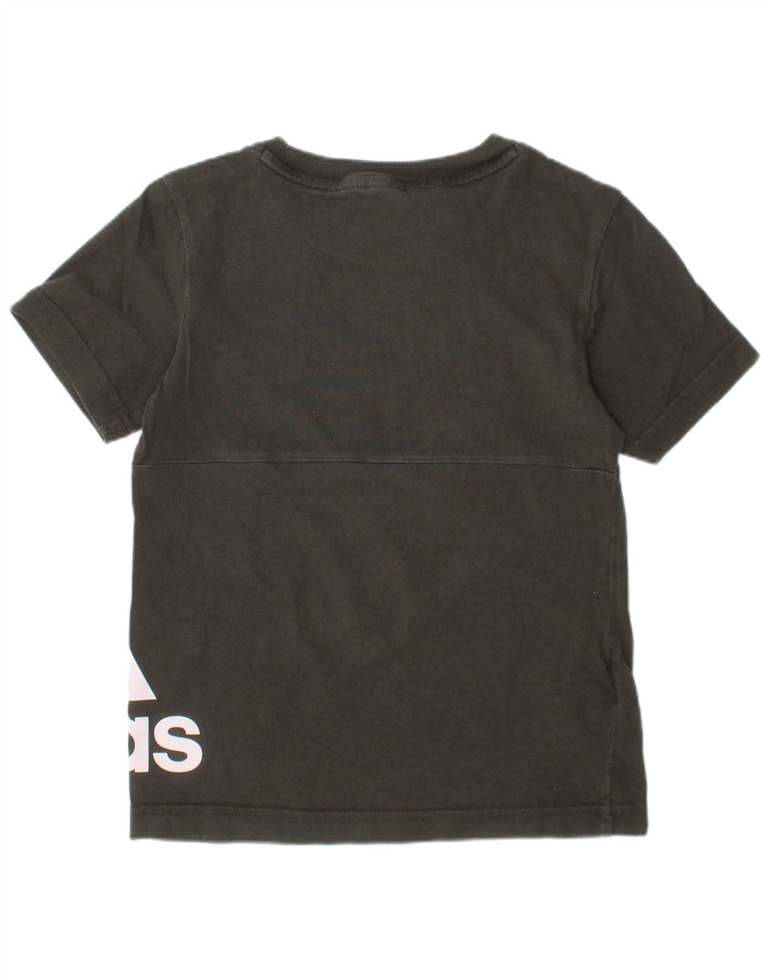 Camiseta Adidas Meninos Graphic Top 5-6 Anos Algodão Cáqui
