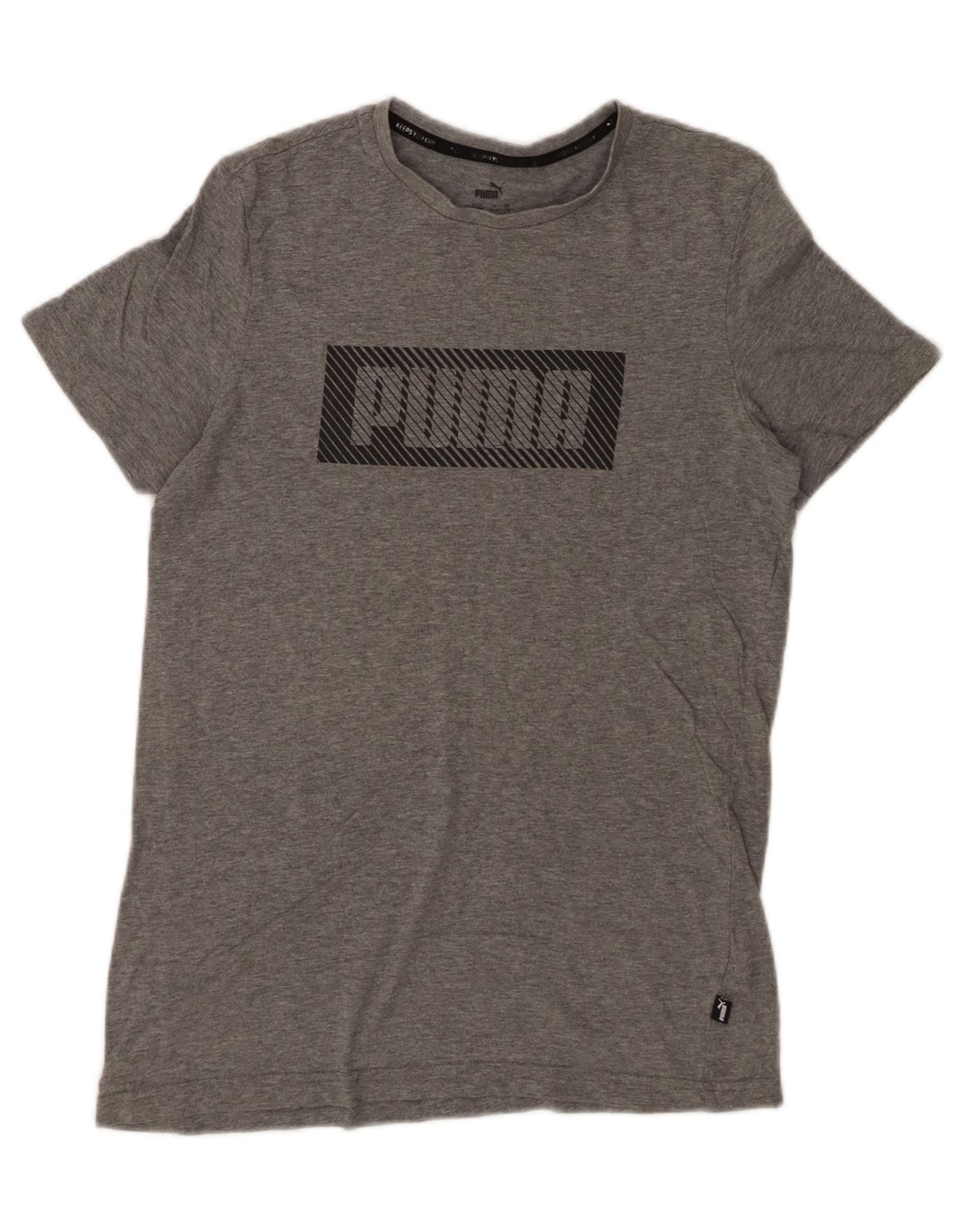 Camiseta PUMA Boys Graphic 15-16 Anos XL Cinza