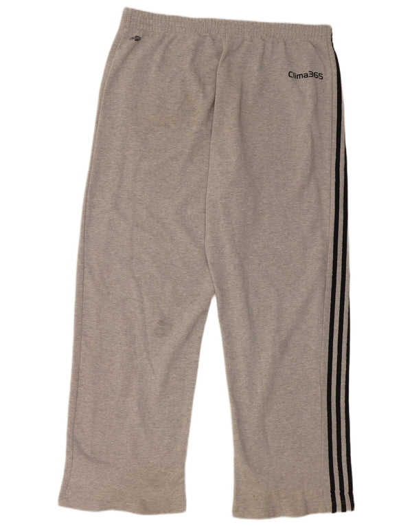 Calça de treino masculina Adidas 2XL algodão cinza