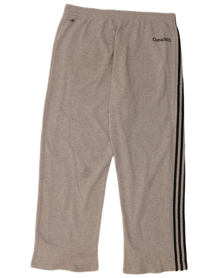 Calça de treino masculina Adidas 2XL algodão cinza