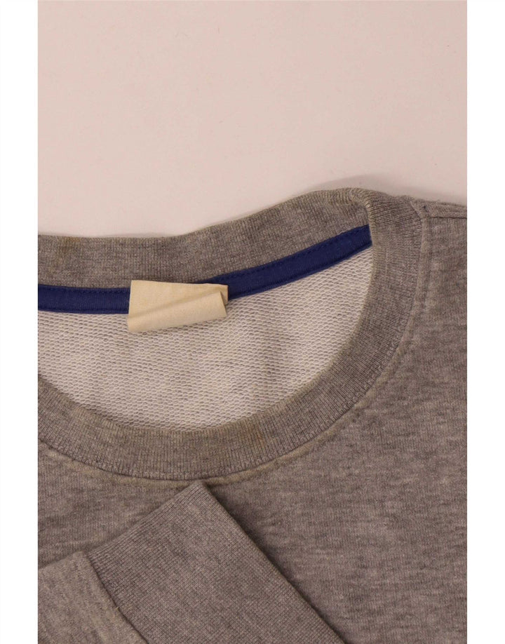 Champion moletom masculino jumper médio cinza algodão manchado