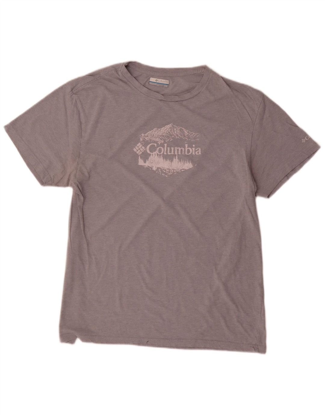 Columbia Camiseta masculina gráfica grande cinza