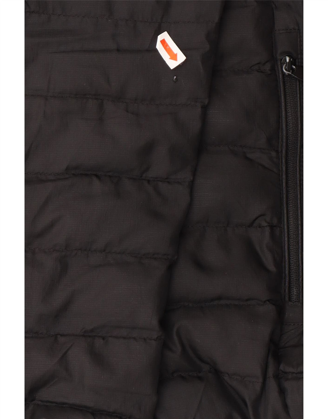 CIESSE PIUMINI Boys Hooded Padded Jacket 15-16 Years Black Polyester