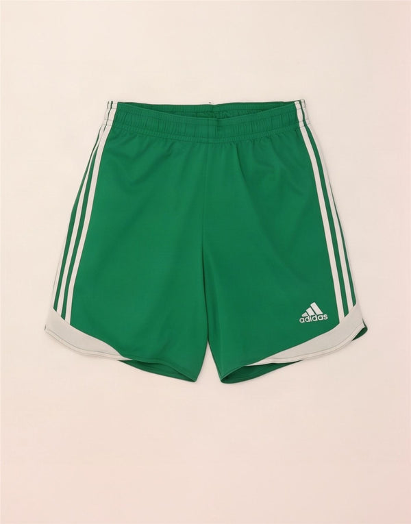 Adidas Masculino Climacool Sport Shorts Médio Verde Poliéster