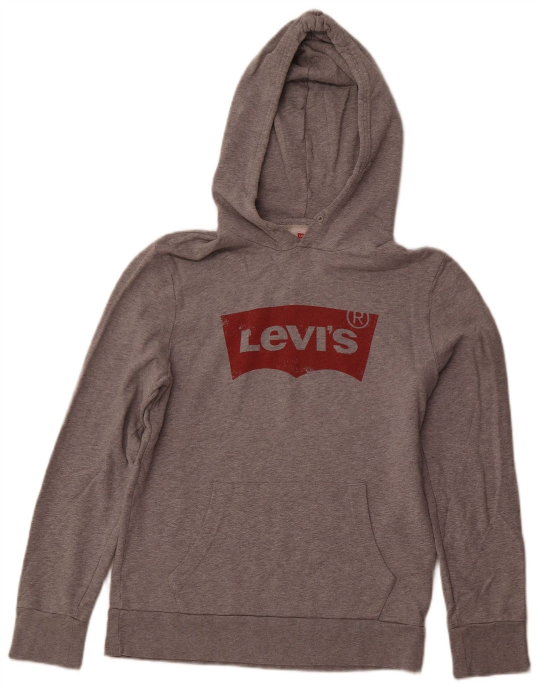 Suéter com capuz gráfico masculino Levi's pequeno algodão cinza