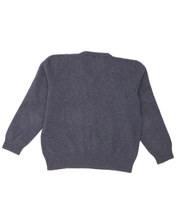 Polo Ralph Lauren Suéter masculino com decote em V XL lã de cordeiro azul