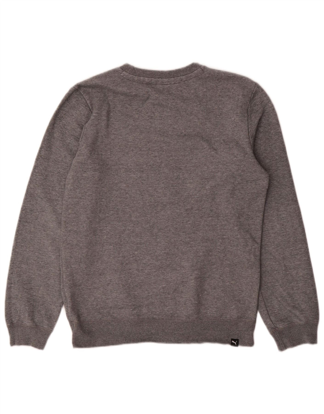 Jumper de moletom gráfico PUMA Boys 13-14 anos cinza