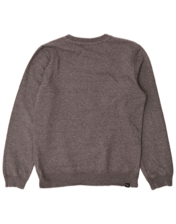 Jumper de moletom gráfico PUMA Boys 13-14 anos cinza