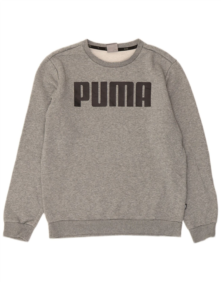 Puma Mens Graphic Moletom Jumper Pequeno Algodão Cinza