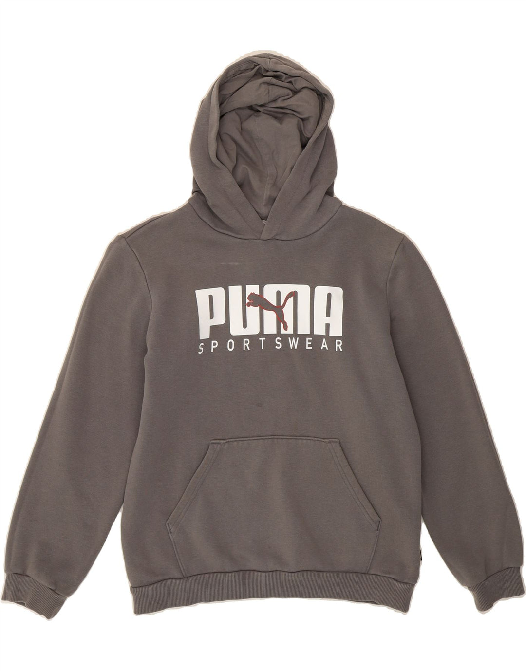 PUMA Boys Graphic Hoodie Jumper 13-14 Years Grey Cotton Vintage Puma and Second-Hand Puma from Messina Hembry 