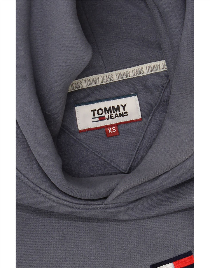 TOMMY HILFIGER Masculino moletom com capuz gráfico XS azul algodão