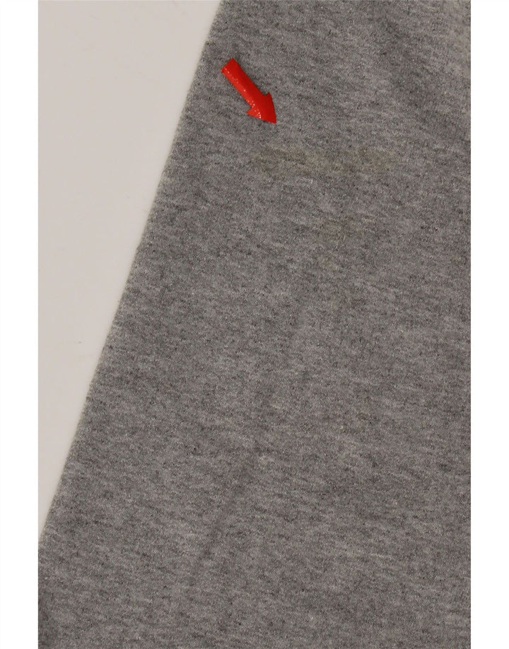 Champion moletom masculino gráfico jumper pequeno algodão cinza