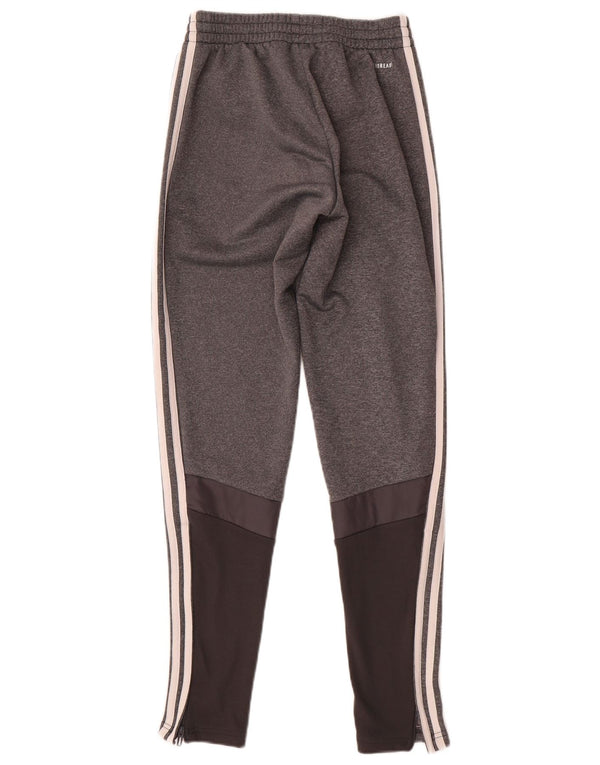 Calça Adidas Aeroready Masculina XS Cinza Colourblock Poliéster