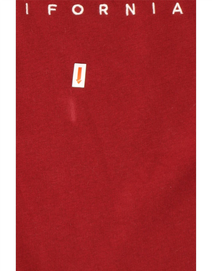 Suéter gráfico masculino HOLLISTER grande algodão Borgonha