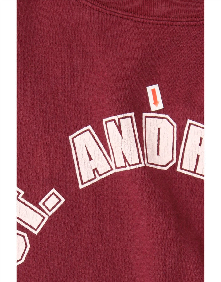 LEE Mens Graphic Sweatshirt Jumper Large Burgundy Cotton Vintage Lee and Second-Hand Lee from Messina Hembry 