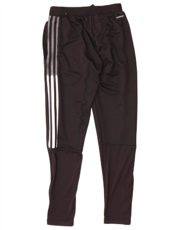 Adidas Mens Boston Celtics Calças de treino XS Poliéster Preto