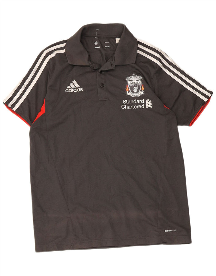 Camisa polo masculina Adidas Liverpool Graphic pequena cinza colorblock poliéster