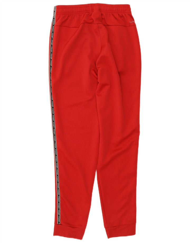 ADIDAS Mens Climalite Graphic Calças de treino Joggers Pequeno Algodão Vermelho