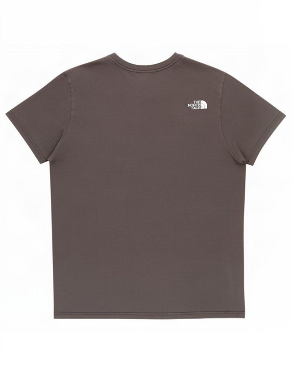 Camiseta gráfica masculina The North Face grande algodão cinza