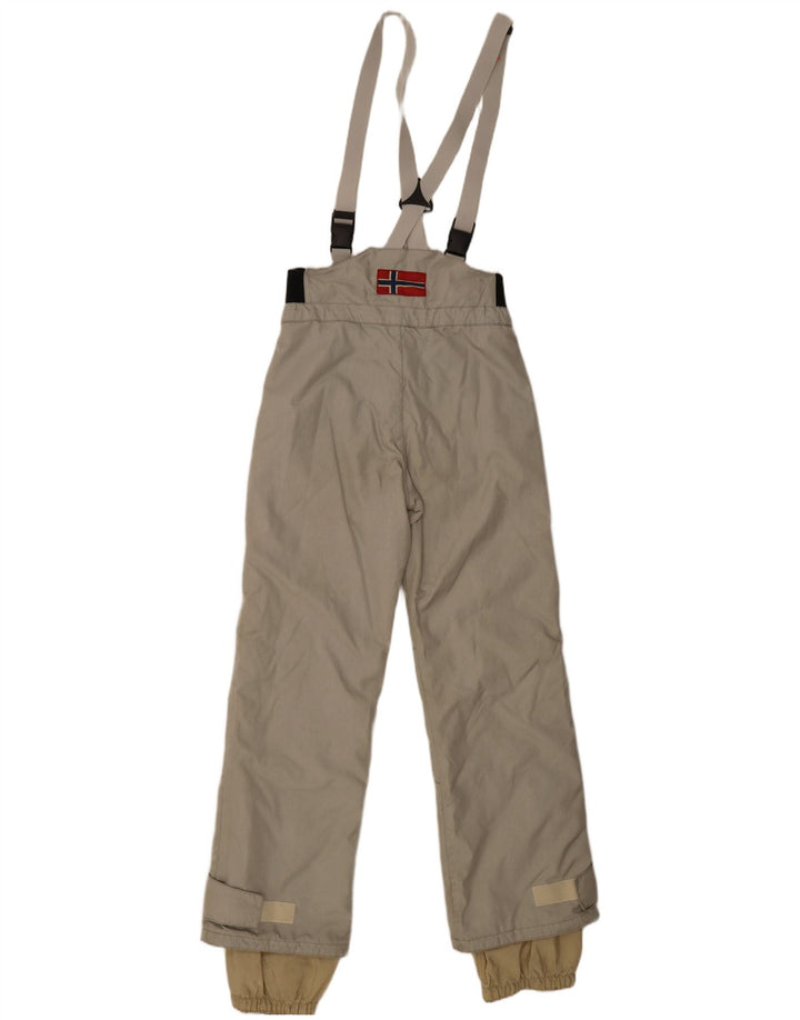 Calça de esqui masculina Napapijri Dungarees médio cáqui poliamida