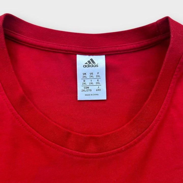 Camiseta de rugby do Lions - XXL