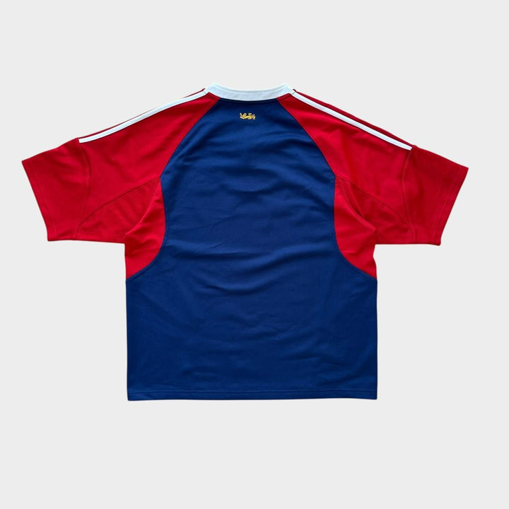 Top de rugby vintage Lions - grande