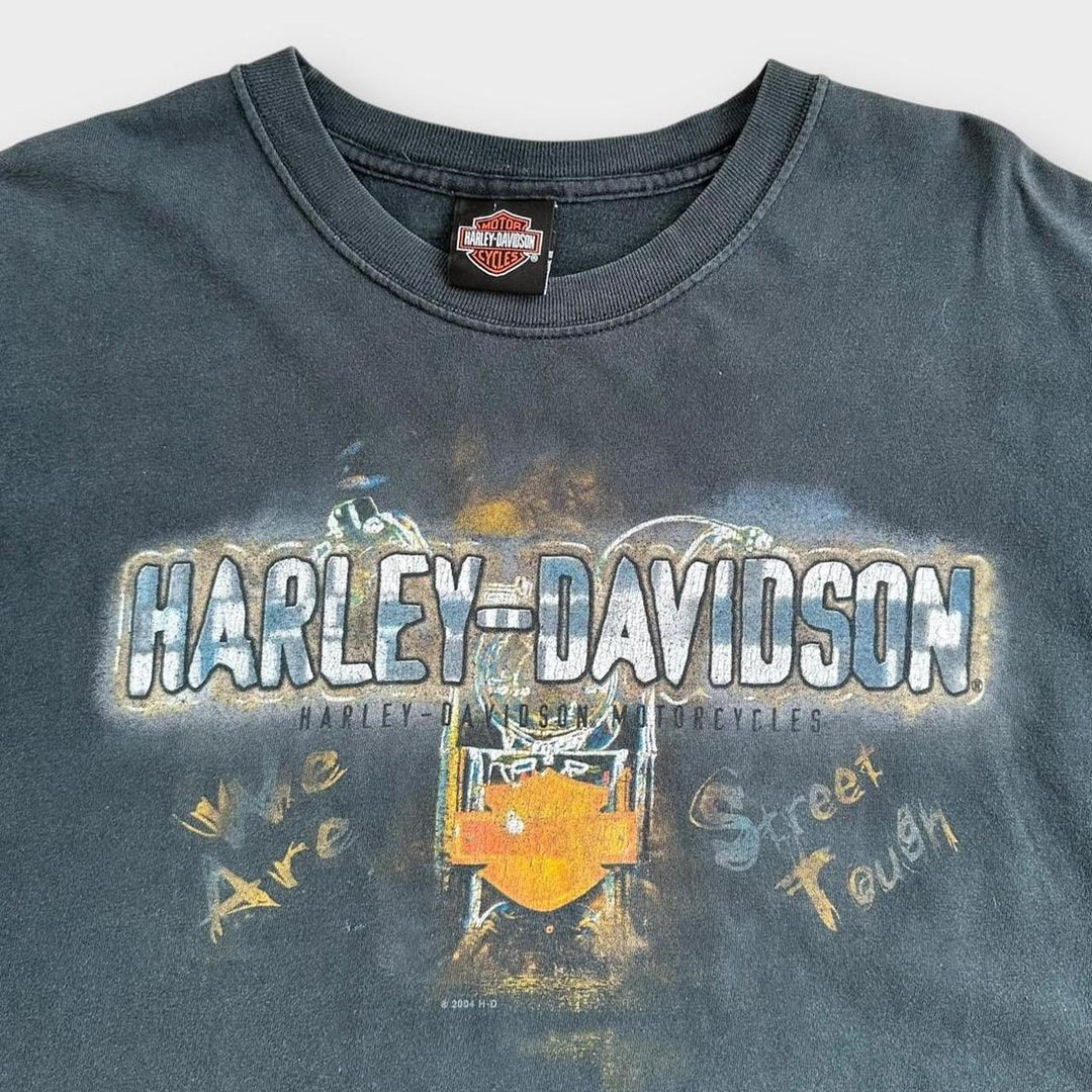 Camiseta gráfica Harley Davidson - grande